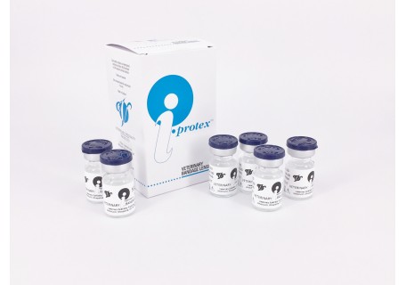 Box of 6 i-protex™ Bandage Lenses (Small Animal)