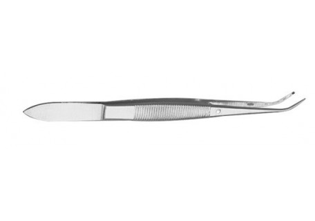 Graefe Iris Dressing Forceps