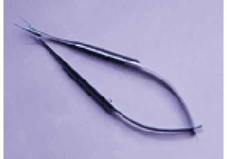 Burratto Corneal Forceps